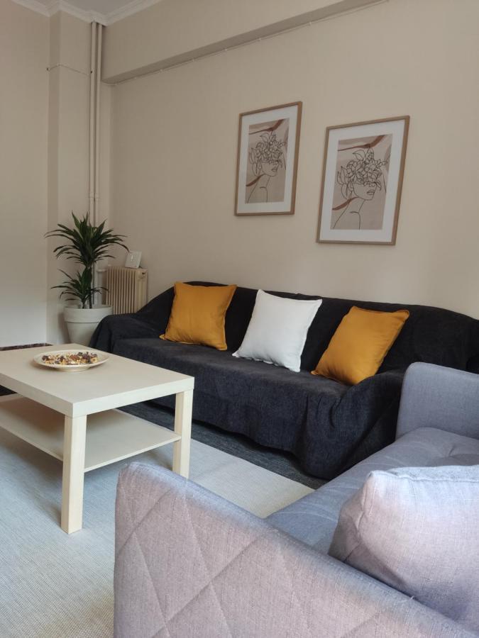 Andreou Apartment 이오아니아 외부 사진